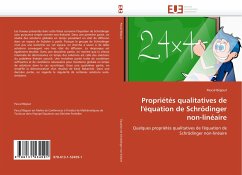 Propriétés qualitatives de l'équation de Schrödinger non-linéaire - Bégout, Pascal