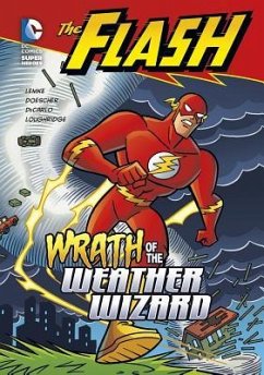 Wrath of the Weather Wizard - Lemke, Donald