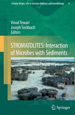 STROMATOLITES: Interaction of Microbes with Sediments