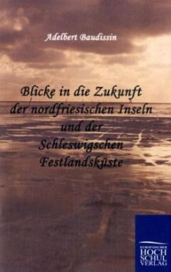 Blicke in die Zukunft der nordfriesischen Inseln und der Schleswigschen Festlandsküste - Baudissin, Adelbert von