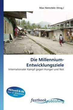 Die Millennium-Entwicklungsziele - Nemstein, Max
