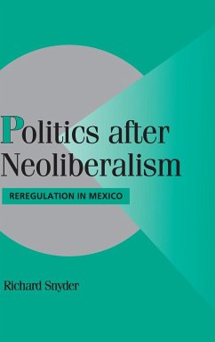 Politics after Neoliberalism - Snyder, Richard