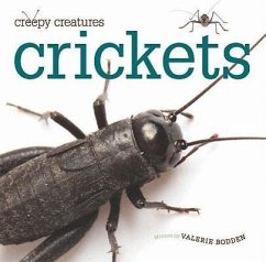 Crickets - Bodden, Valerie