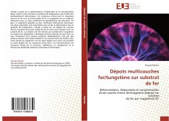 Dépots multicouches fer/tungstène sur substrat de fer - PLANTIN, Pascale