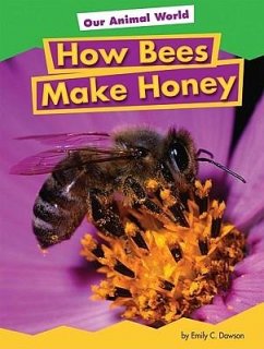 How Bees Make Honey - Dawson, Emily C.