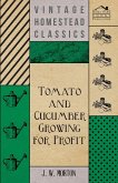 Tomato And Cucumber Growing For Profit