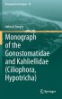 Monograph of the Gonostomatidae and... - Bild 1