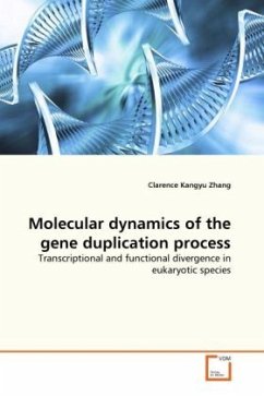 Molecular dynamics of the gene duplication process