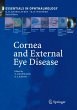 Cornea and External Eye Disease - Bild 1