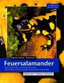 Feuersalamander