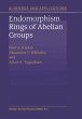 Endomorphism Rings of Abelian Groups - Bild 1
