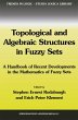 Topological and Algebraic Structures in... - Bild 1