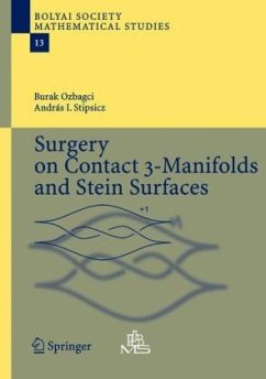 Surgery on Contact 3-Manifolds and Stein Surfaces - Ozbagci, Burak;Stipsicz, Andras I.