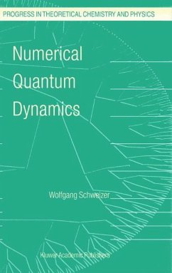 Numerical Quantum Dynamics - Schweizer, W.