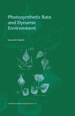 Photosynthetic Rate and Dynamic Environment