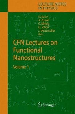 CFN Lectures on Functional Nanostructures