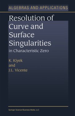 Resolution of Curve and Surface Singularities in Characteristic Zero - Kiyek, K.;Vicente, J. L.