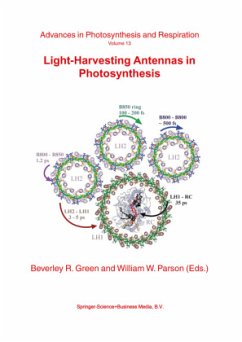 Light-Harvesting Antennas in Photosynthesis