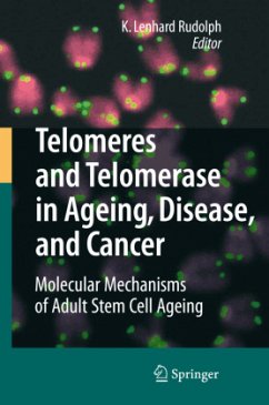 Telomeres and Telomerase in Aging, Disease, and Cancer