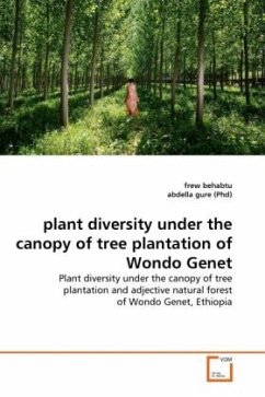 plant diversity under the canopy of tree plantation of Wondo Genet