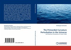 The Primordial Curvature Perturbation in the Universe - Kar iauskas, Mindaugas