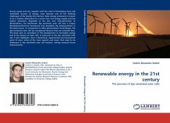 Renewable energy in the 21st century