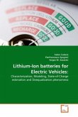 Lithium-Ion batteries for Electric Vehicles: