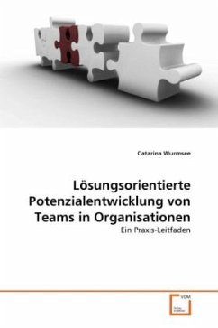 Lösungsorientierte Potenzialentwicklung von Teams in Organisationen