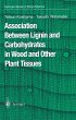 Association Between Lignin and... - Bild 1