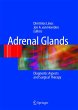 Adrenal Glands - Bild 1