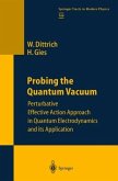 Probing the Quantum Vacuum