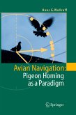 Avian Navigation: Pigeon Homing as a Paradigm