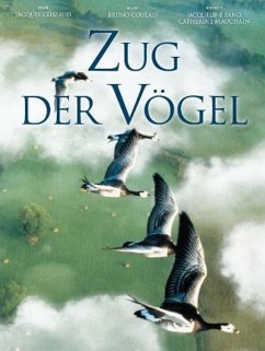 Zug der Vögel