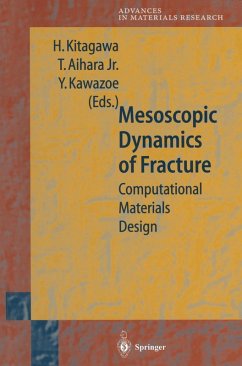 Cover Mesoscopic Dynamics of Fracture