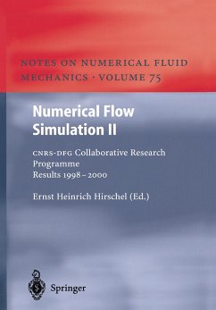 Numerical Flow Simulation II