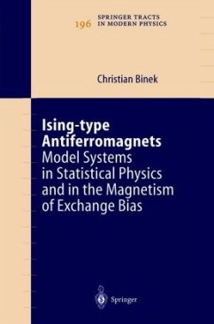 Ising-type Antiferromagnets - Binek, Christian
