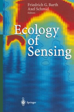 Ecology of Sensing