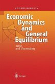 Economic Dynamics and General Equilibrium