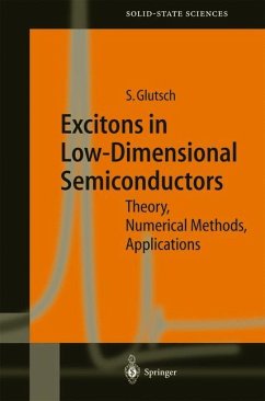 Excitons in Low-Dimensional Semiconductors - Glutsch, Stephan