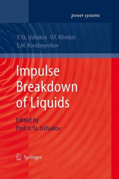 Impulse Breakdown of Liquids - Ushakov, Vasily Y.;Klimkin, V. F.;Korobeynikov, S. M.