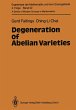 Degeneration of Abelian Varieties - Bild 1