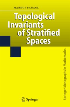 Topological Invariants of Stratified Spaces - Banagl, Markus