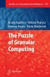 The Puzzle of Granular Computing - Bild 1
