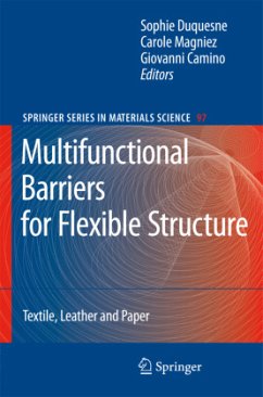 Multifunctional Barriers for Flexible Structure