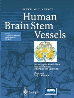 Human Brain Stem Vessels - Duvernoy, Henri M.