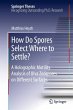 How Do Spores Select Where to Settle? - Bild 1