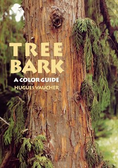 Tree Bark - Vaucher, Hugues