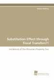 Substitution Effect through Fiscal Transfers?!