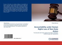 Accountability under Human Rights Law of Non-State Actors