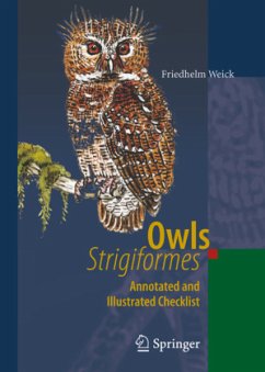 Owls (Strigiformes) - Weick, Friedhelm